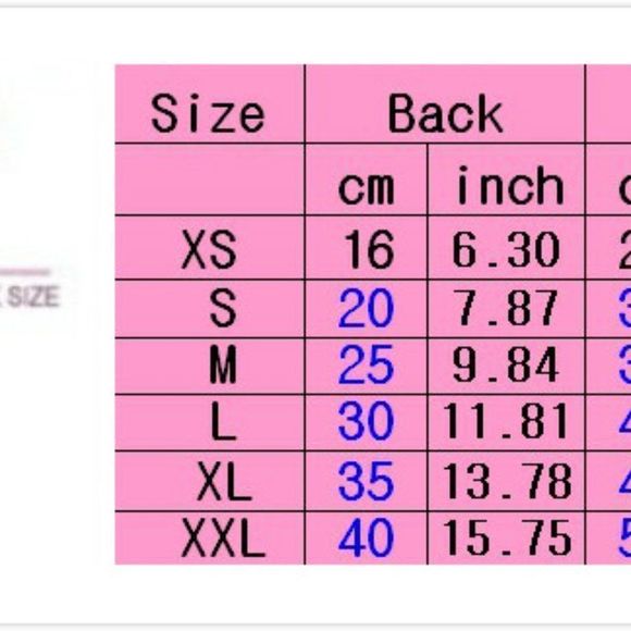 Dog~ Puppy French Color Block  BIKER Tee Shirt Various Sizes - Picture 5 of 5